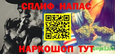 СК Жуковский