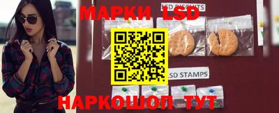 гидра Заволжье